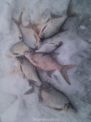 так первый раз на можайском водохранилище.