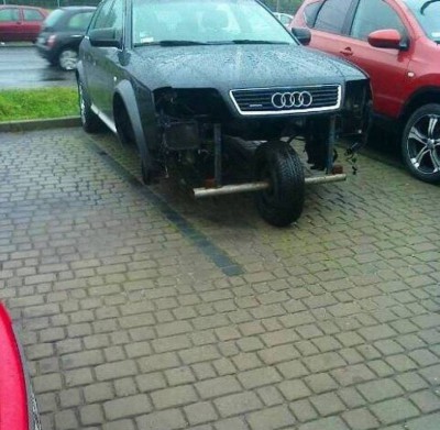 Шараноколы - be2fbb015c87df793e333b05d34054a8.jpg