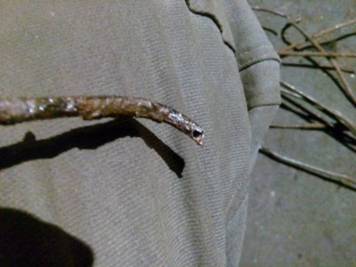 Алая Ева-Мария. Езжу, обслуживаю, забочусь. - IMG_20170303_211921.jpg