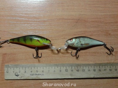 Салмо-на Словечно хорошо,на  Припяти не очень.