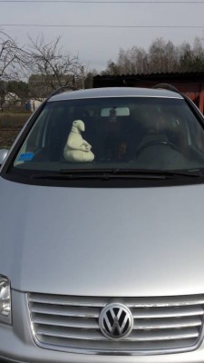 Он всегда в машинке!!!