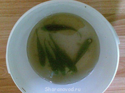 Шарановоды о рыбалке. - Фото029.jpg