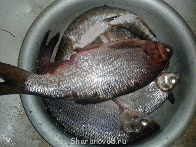 Шарановоды о рыбалке. - 20140422_213415.jpg