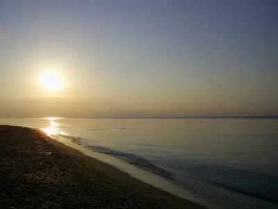 Путешествие в Одесскую область - PIC_0212.JPG