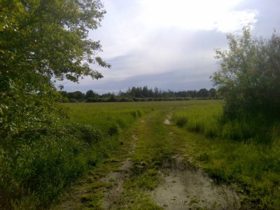 Встреча Клуба, Березино 2017. Клубу 5 лет. - IMG_20170608_174008.jpg