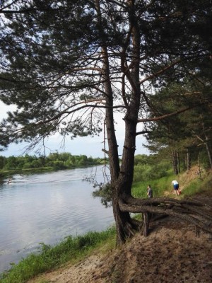 Встреча Клуба, Березино 2017. Клубу 5 лет. - IMG_20170610_180640.jpg