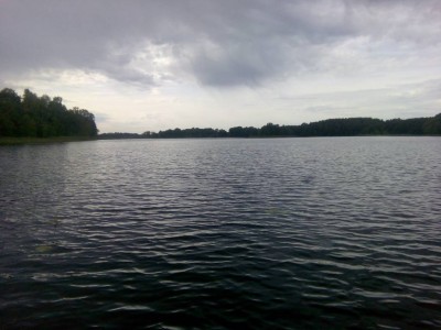 Шарановоды о рыбалке. - IMG_20170825_101202.jpg