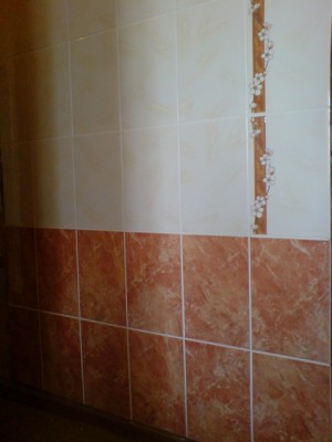 Консультации по печному отоплению - DSC00845.JPG