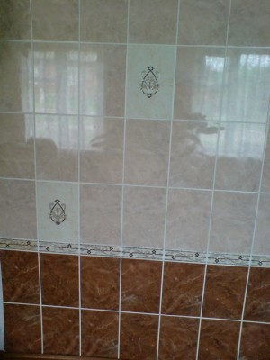 Консультации по печному отоплению - DSC00910.JPG