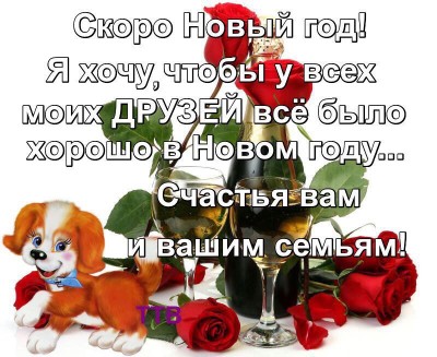 Поздравлялка - IMG-20171230-WA0021.jpg