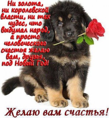 Поздравлялка - IMG-20171231-WA0006.jpg