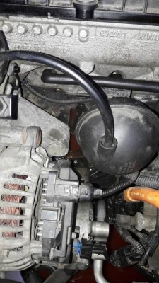 Теперь на месте тнрмостата дупло для мышей! Пришлось заткнуть ветошью!