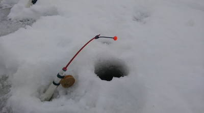 Шарановоды о рыбалке. - кор2.PNG