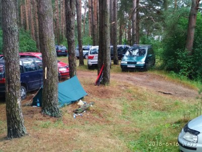 Просто красавцы