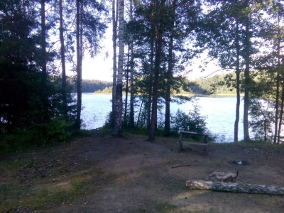 Шарановоды о рыбалке. - IMG_20180710_183812.jpg