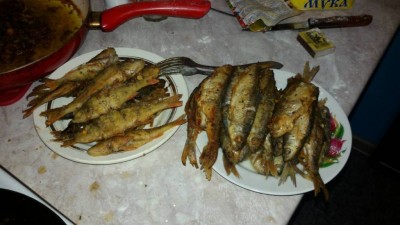 Шарановоды о рыбалке. - IMG-8736fb2a603d337afa5e05cf3f3523d3-V.jpg