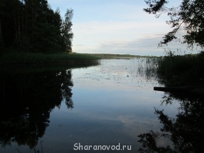 Шарановоды о рыбалке. - IMG_0425.jpg