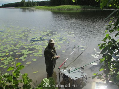 Шарановоды о рыбалке. - IMG_0411.jpg