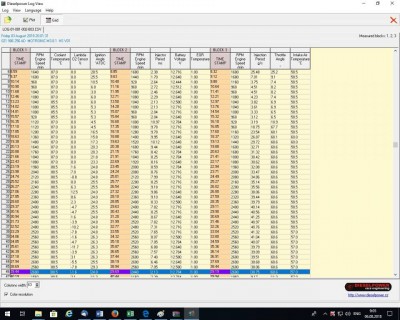 Логи бензиновых двигателей снятие и чтение  - 1_2_3.jpg