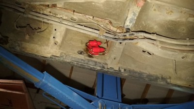 Покрасил яйца