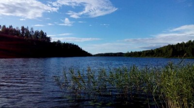 Шарановоды о рыбалке. - озеро3.JPG