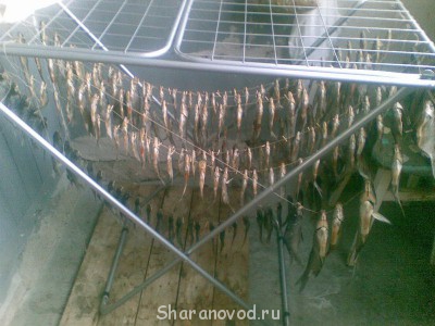 Шарановоды о рыбалке. - Фото043.jpg