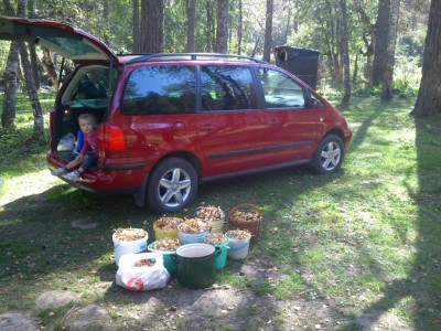 На родных дисках.