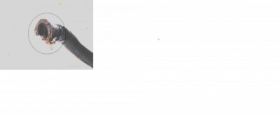 Логи бензиновых двигателей снятие и чтение  - Патрубок клапана №75 актуатор.jpg