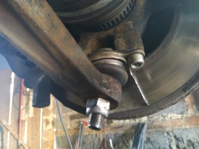 Новьё на месте