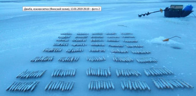 Шарановоды о рыбалке. - кор.JPG