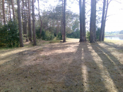 Встреча клуба 2019. Нам семь - IMG_20190609_172909.jpg