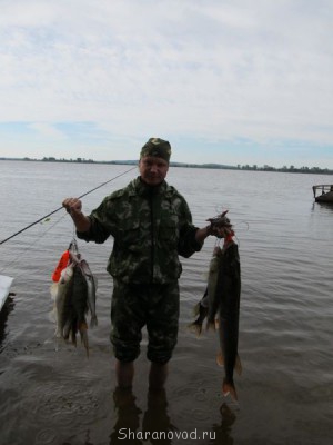 Шарановоды о рыбалке. - IMG_3342.JPG