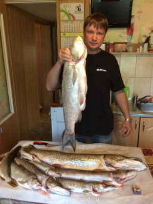 Шарановоды о рыбалке. - IMG_0590.JPG