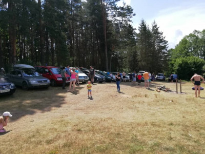 Столько Шаранов,даже у меня во дворе не встретишь