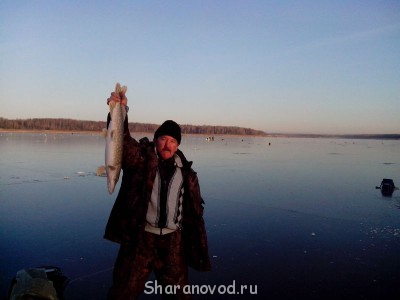 Шарановоды о рыбалке. - IMG_20141123_093850.jpg