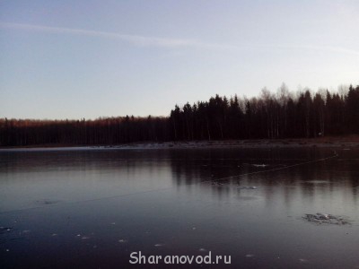 Шарановоды о рыбалке. - IMG_20141123_093842.jpg