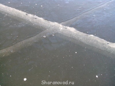 Шарановоды о рыбалке. - IMG_20141123_113541.jpg