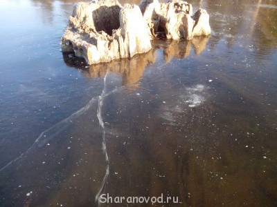 Шарановоды о рыбалке. - IMG_20141123_141329.jpg