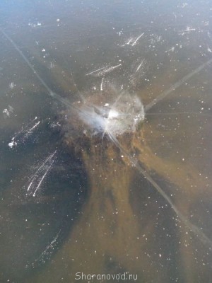 Шарановоды о рыбалке. - IMG_20141123_141425.jpg