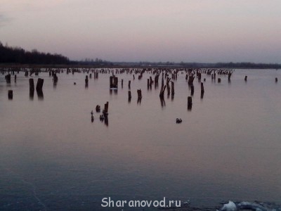 Шарановоды о рыбалке. - IMG_20141123_162223.jpg