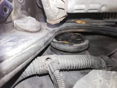 Передние опорные подшипники - IMG_20190720_130445[1].jpg