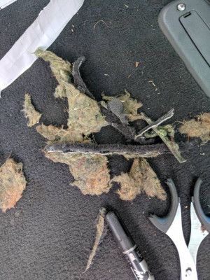 Неспешный тюнинг - IMG_20190822_131040.jpg