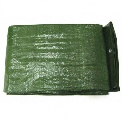 Шарановоды о рыбалке. - тент.JPG