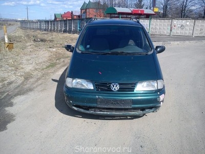 Шаран на запчасти - DSC00198.JPG