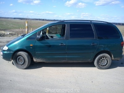 Шаран на запчасти - DSC00199.JPG