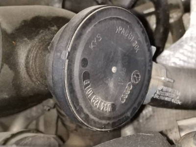 Вот этот грибок в каком состоянии у тебя.